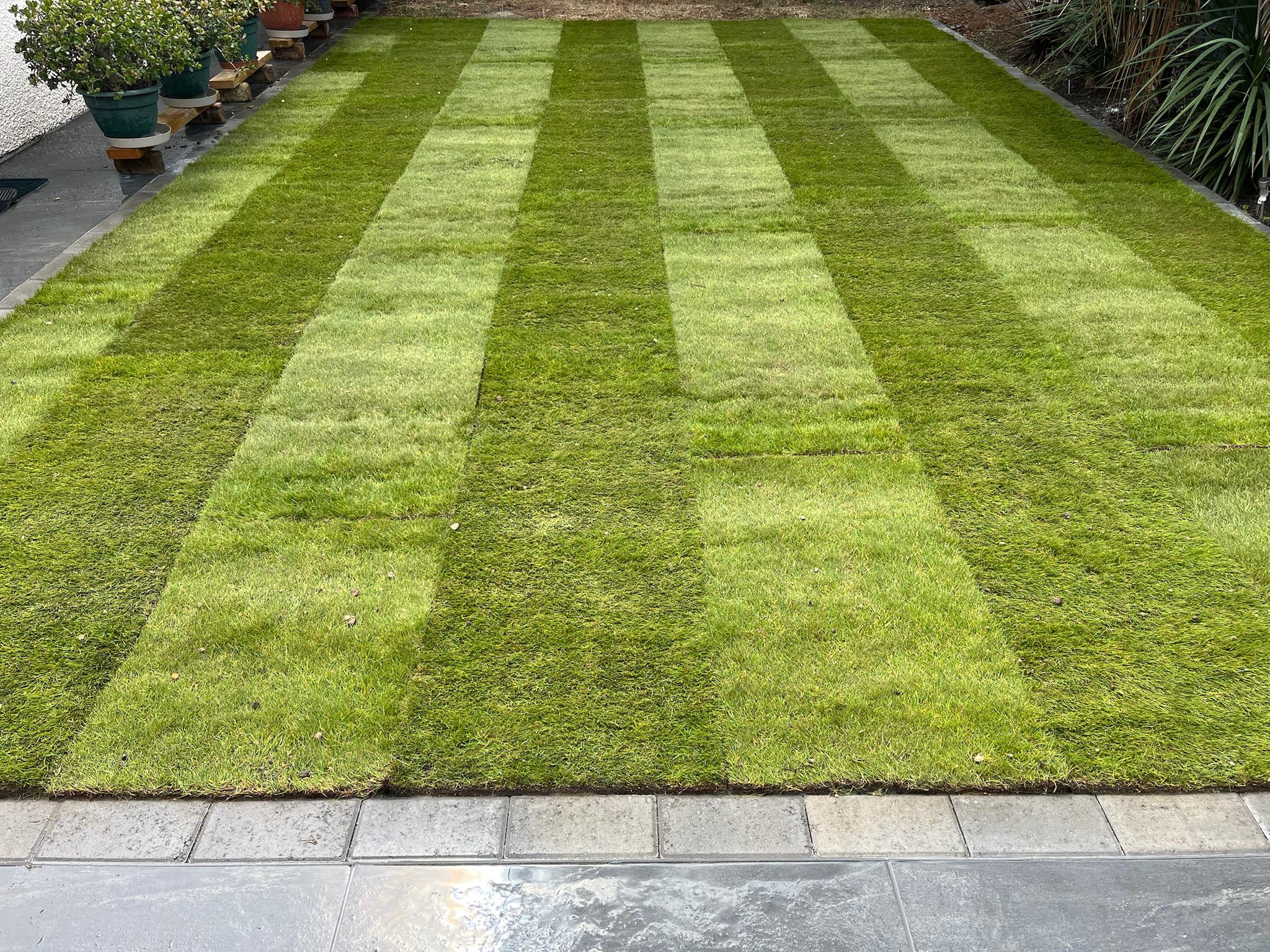 Extended Anthracite Porcelain Patio finished photo 4